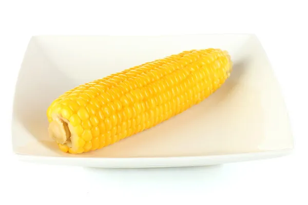 Boiled corn isolated on white on the white plate — Stock Photo, Image