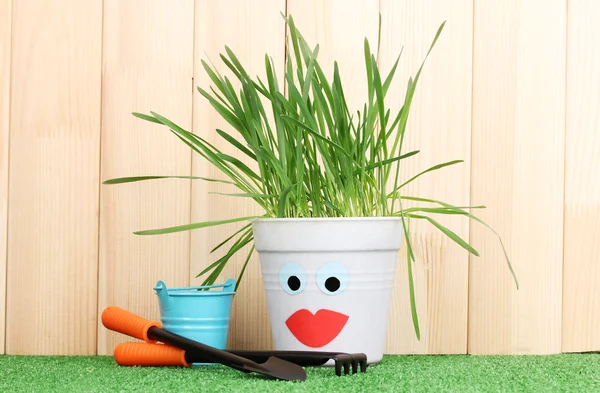 A pot of grass on wooden background — Stock Photo, Image