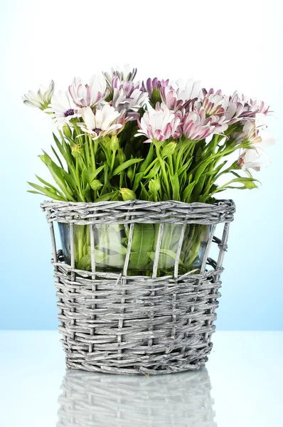 Bouquet of beautiful summer flowers in wicker vase, on blue background — Stock Photo, Image