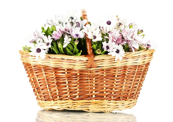 Bouquet of beautiful summer flowers in basket, isolated on white — Stock Photo, Image