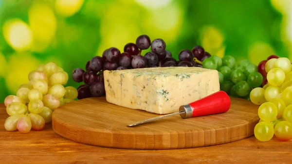 Queijo com molde na tábua de corte com uvas em backgroun verde brilhante — Fotografia de Stock