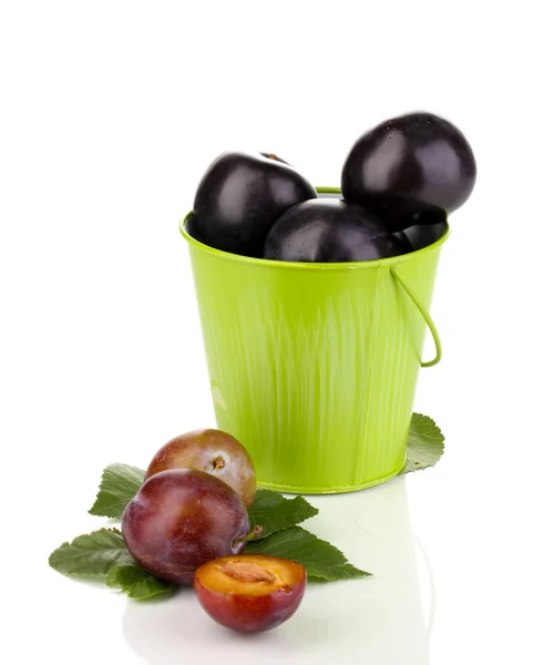 Rip plums in pail isolated on white — Stock Photo, Image