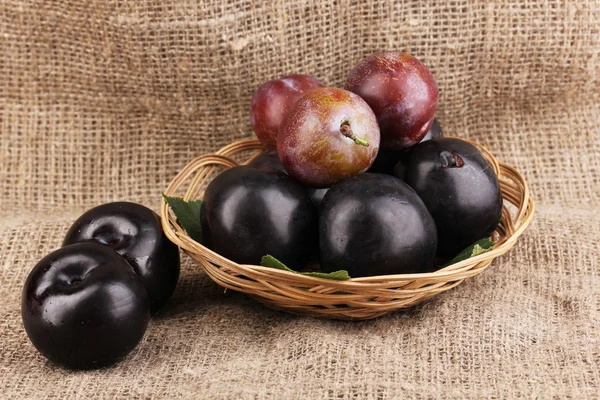 Rip plums on basket on sacking — Stock Photo, Image