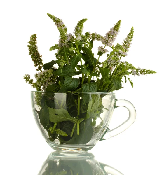 Menta fresca con flores en taza, aislada en blanco — Foto de Stock