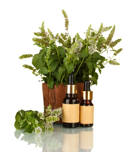 Essential oil and mint isolated on white — Stock Photo, Image