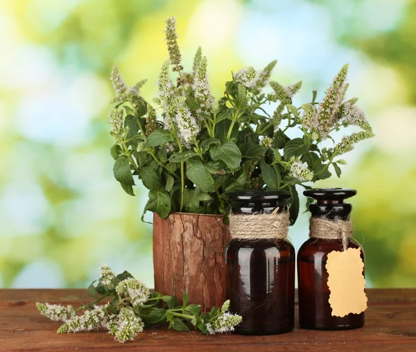 Essential oil and mint on green background close-up — Stock Photo, Image