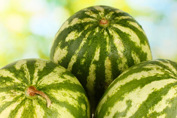 Reife Wassermelone auf grünem Hintergrund Nahaufnahme — Stockfoto