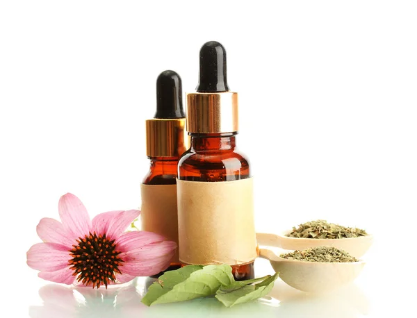 Bottiglie con olio essenziale e echinacea viola, isolate su bianco — Foto Stock