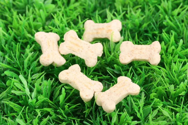 Nourriture sèche en forme d'os pour chiens sur herbe verte — Photo