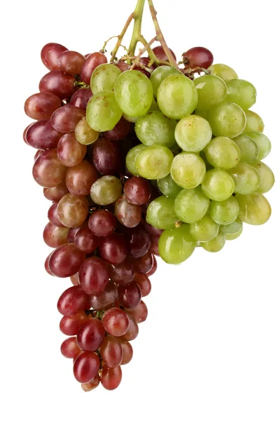Вкусные спелые две гроздья винограда, изолированные на белом — стоковое фото