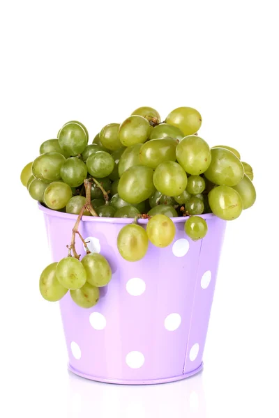 白で隔離されるバケツで熟した緑のブドウ — ストック写真