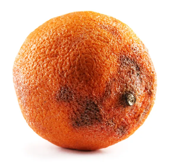 Rotten orange isolated on white — Stock Photo, Image