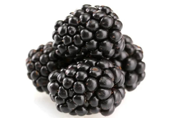 Brambleberry Stock Photos, Royalty Free Brambleberry Images