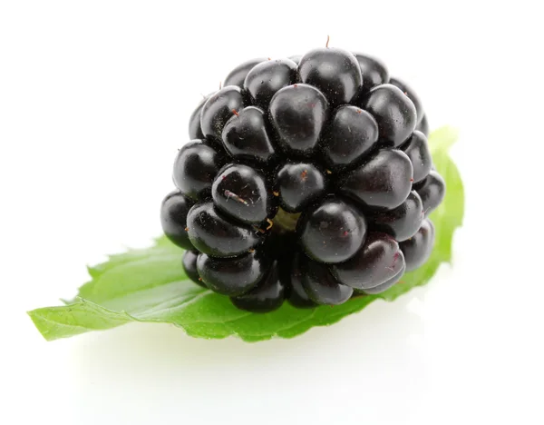 Mooie blackberry met blad geïsoleerd op wit — Stockfoto