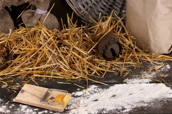 Ratonera con un trozo de queso en granero sobre fondo de madera —  Fotos de Stock