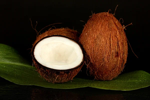 Kokosy na czarnym tle z bliska — Zdjęcie stockowe