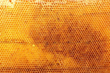 gele mooie honingraat met honing, achtergrond