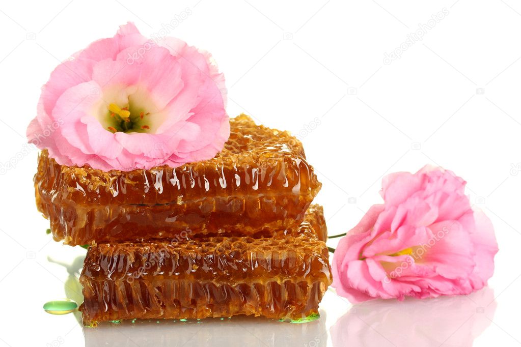 honeycombs with honey and flowers isolated on white