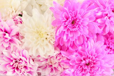 parlak krizantem yakın çekim bir buket