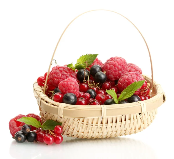 Ripe berries with mint in basket isolated on white — Stock Photo, Image