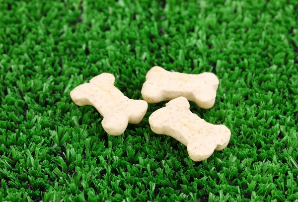 Сухий корм у формі кістки для собак на зеленій траві — стокове фото
