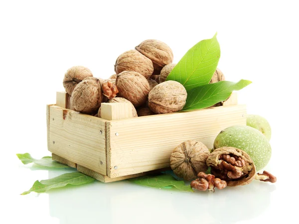 Walnuts with green leaves in woooden crate, isolated on white — Stock Photo, Image