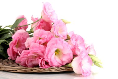 beyaz izole eustoma çiçek, buket