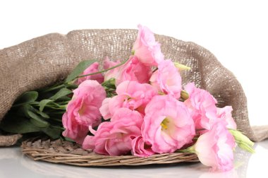 beyaz izole eustoma çiçek, buket