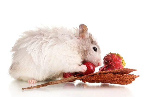 Cute hamster and autumn twig isolated white — Stock Photo, Image