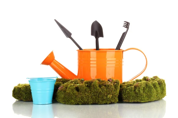 Musgo verde y regadera con herramientas de jardinería aisladas en blanco — Foto de Stock