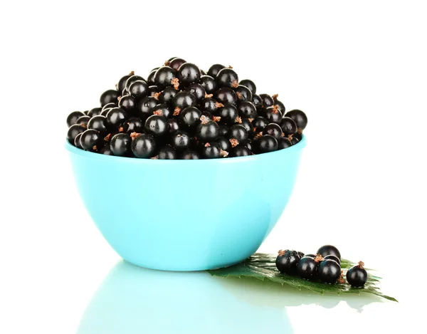 Fresh black currant in blue bowl isolated on white — Stock Photo, Image