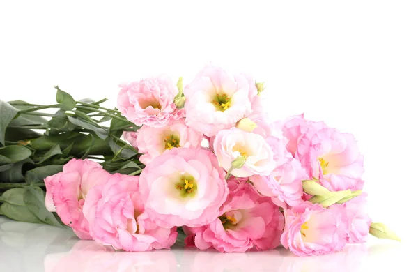 Bouquet of eustoma flowers, isolated on white — Stock Photo, Image