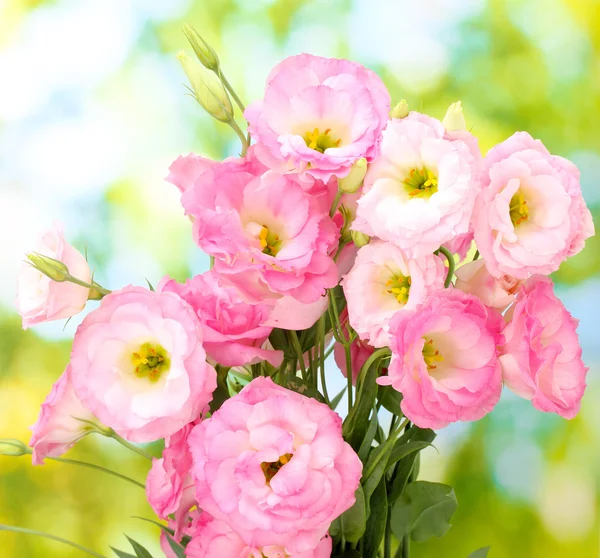 Bouquet of eustoma flowers, on green background — Stock Photo, Image