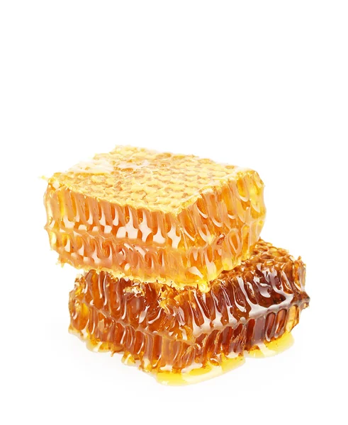 Sweet honeycombs with honey, isolated on white — Stock Photo, Image