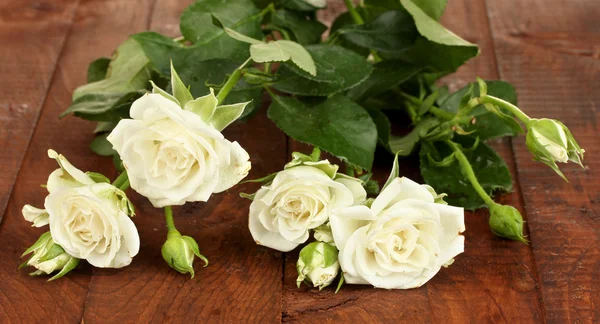 Beautiful white roses on wooden background close-up — Stock Photo, Image