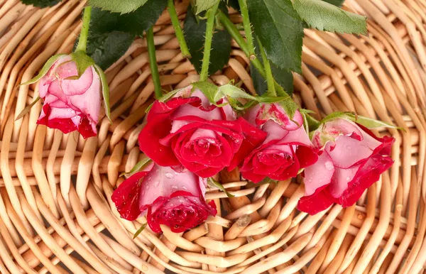 Beautiful vinous roses on wicker mat close-up — Stock Photo, Image