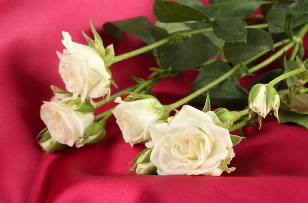 Beautiful white roses on red satin close-up — Stock Photo, Image