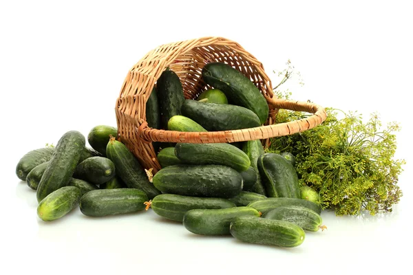 Concombres frais, cornichons et aneth dans le panier isolé sur blanc — Photo