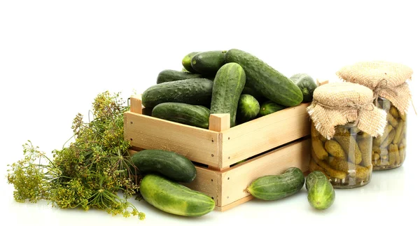 Färska gurkor i trälåda, pickles och dill isolerad på vit — Stockfoto