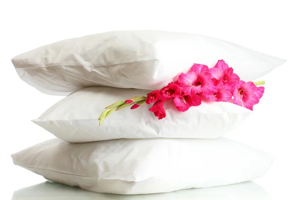 Cuscini e fiori, isolati su bianco — Foto Stock