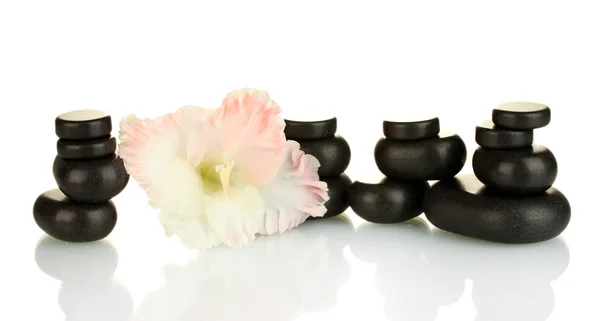 Pietre termali con bocciolo di gladiolo isolato su bianco — Foto Stock