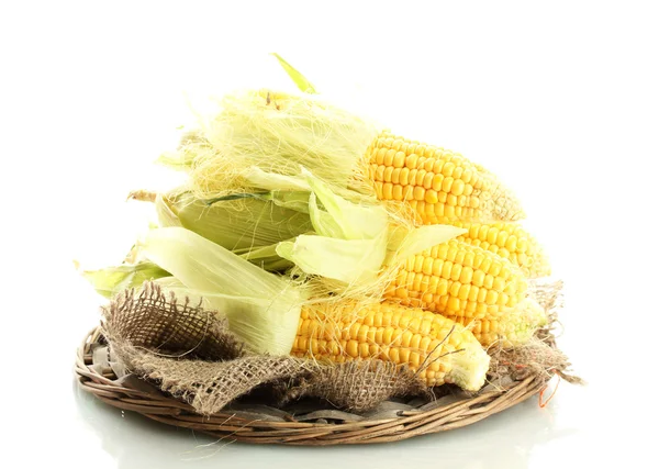 Fresh corn, isolated on white — Stock Photo, Image