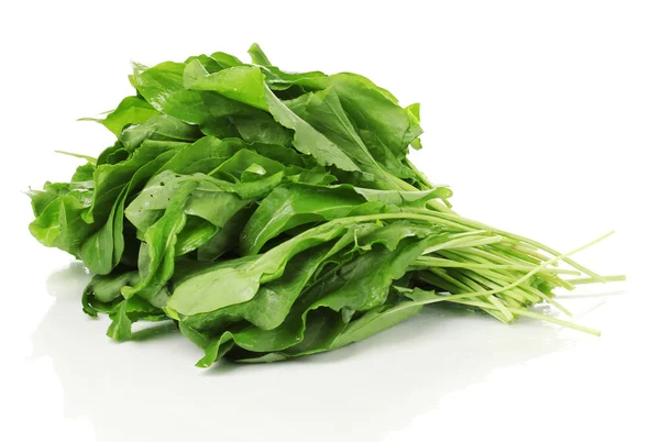 Fresh sorrel isolated on white — Stock Photo, Image