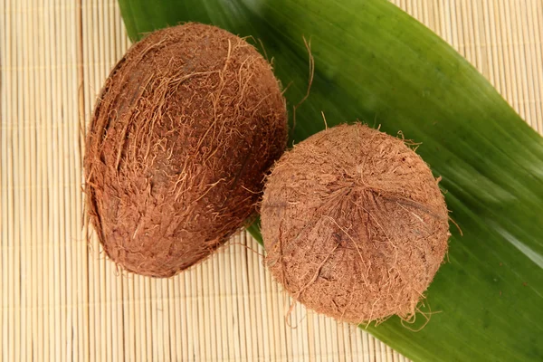 Kokosy na mst bliska wikliny beżowy — Zdjęcie stockowe