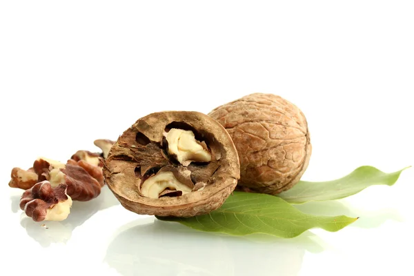 Nueces con hojas verdes, aisladas sobre blanco —  Fotos de Stock