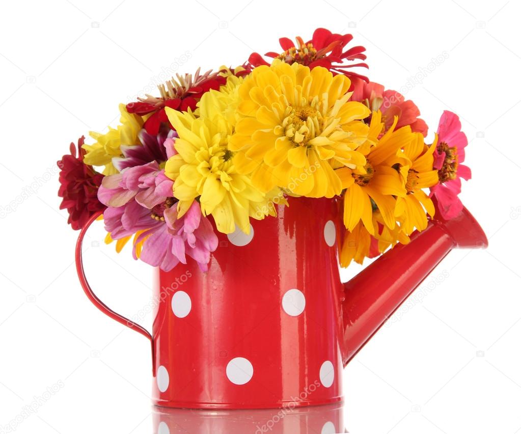 Bouquet of beautiful summer flowers in watering can, isolated on white ...