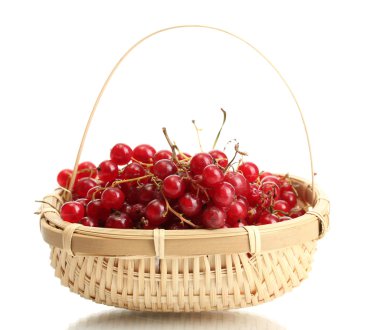 redcurrants üzerinde beyaz izole bir sepet içinde