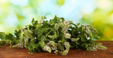 yeşil renkli yakın çekim üzerinde taze nane
