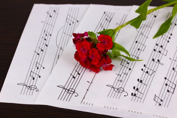 Notas musicales y flor sobre mesa de madera —  Fotos de Stock