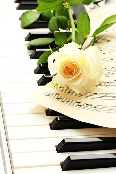 Fundo do teclado piano com rosa — Fotografia de Stock